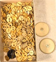 underwear buttons- bone