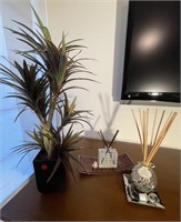 PLANT AND DIFFUSERS