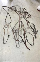 Head Stalls with Bits & Reins