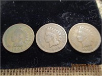 3 Indian Head Pennies-1905
