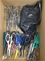 Assorted Scissors, Tweezers & Forceps