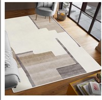 5x7 Area Rug for Living Room