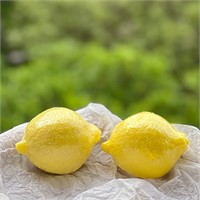 Lemon Shape Scented Botanical Soap Bars  2 Pack