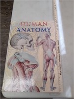 Large hardback book of human anatomy