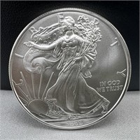 2009 American Silver Eagle