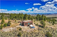 147 Sulky Ct, Hartsel, CO 80449