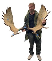 Large Kenai Moose Antler Rack