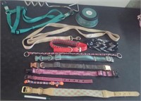 DOG COLLARS,LEASHES & MORE
