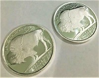 (2) 1 oz Silver Buffalo Design Rounds