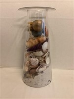Seashell Display with Candlestick Lid