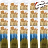 20 Packs/200 PCS Paint Brush Set