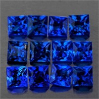 Natural Royal Blue Princess Sapphire 12 Pcs [Flawl