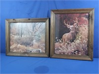 2 Framed Buck Prints 16x20