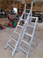 2 aluminum step ladders