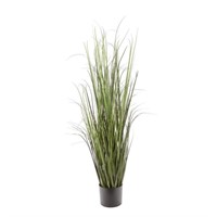 B5801  NATURAE DECOR 47 in. Grass Indoor Plant