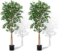 5Ft - 2Packs Upgraded Ficus Tree