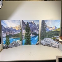 3- 29 1/2 x 19 1/2 Landscape Canvas Wall Art