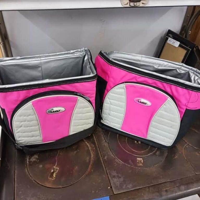 Pair of pink soft sided coolers