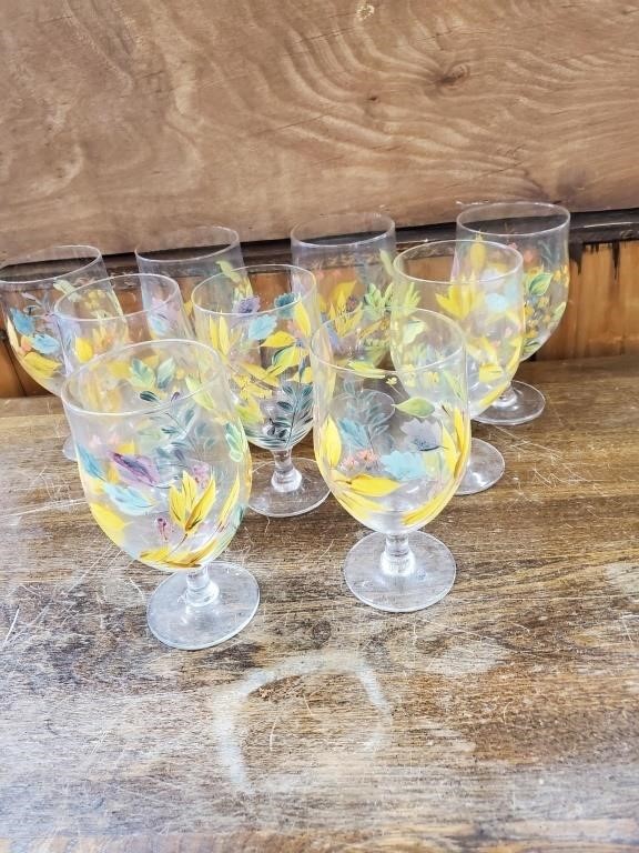 Hand Painted Floral Glass Set