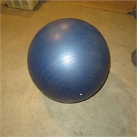 Gold's Gym Exercise Ball