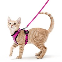 rabbitgoo Cat Harness and Leash for Walking,