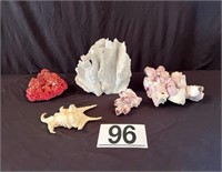[L] Coral and Shell Lot #1