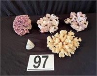 [L] Coral and Shell Lot #2