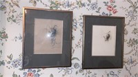 2 framed cat original drawings , 21x17 inches