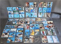 Trading Cards -Flipper the Movie in Sheets