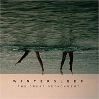 The Great Detachment (Vinyl)