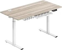 Shw 55-inch Large Electric Height Adjustable Stand