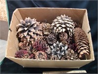 HOLIDAY PINE CONES