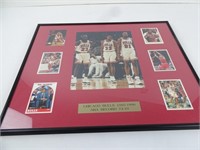 Chicago Bulls 95-96 Framed Display