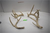 Two Sets of Deer Antlers