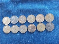 Wheat cents.  Lot of #12 wheat cents.  #10 of