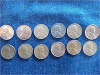 Wheat cents.  Lot includes #12 wheat cents.  All