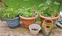 Planters and terracotta hen & chick pot