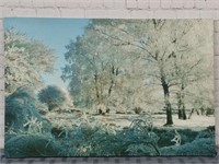 Framed Winter Landscape on Canvas