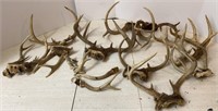 Several Sets of Deer Antlers