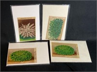 Vintage Tobacco Cigarette Cards - Plants