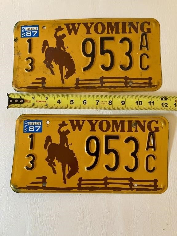 Brown & Gold Wyoming license Plate Set - County 13