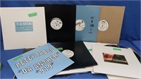 Various 33 & 33 1/2 Vinyls incl RAM-Z, TAMIA &