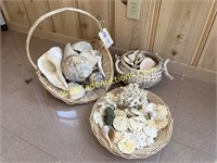 Wicker Basket w/ Large Seashells lot Of 3