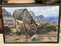 Framed desert burro poster print.
