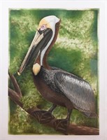 JOHN COSTIN COLORED ETCHING "BROWN PELICAN"