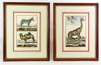 Two 19th c. French Animal Prints