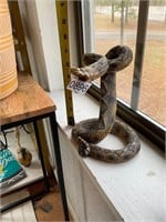 Rattlesnake mount decor