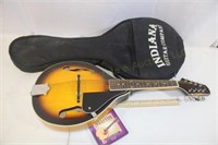 Johnson Mandolin MA 100Â w/ Soft Case