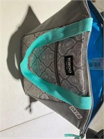 Small igloo cooler tote bag/ lunchbox