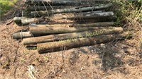 Treated Wood Posts approximately 25